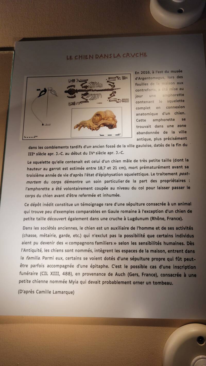 Domus à Argentomagus