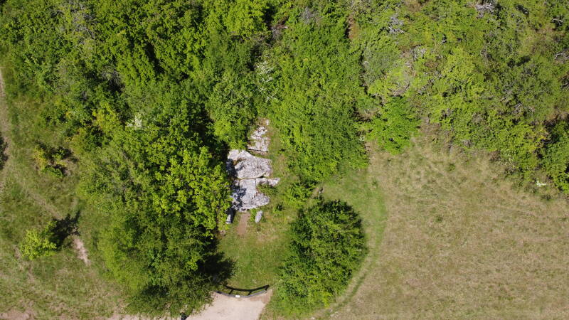 L'allée couverte du Bois-Couturier