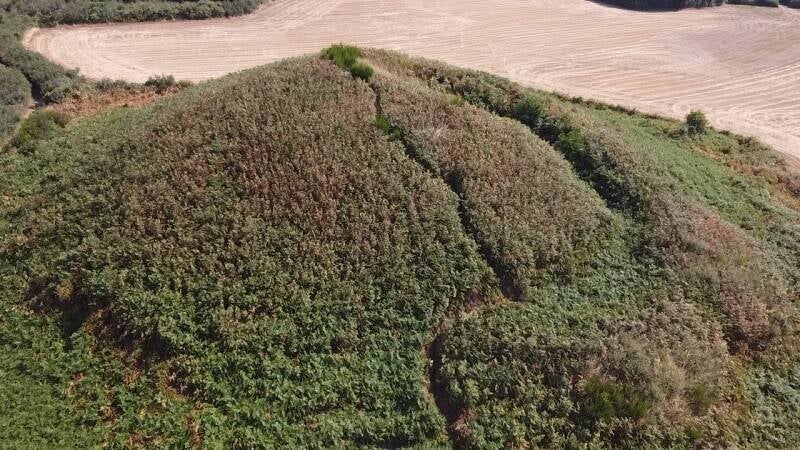 Le tumulus de Tumiac