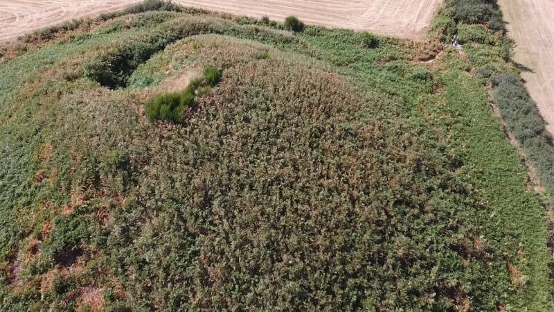 Le tumulus de Tumiac