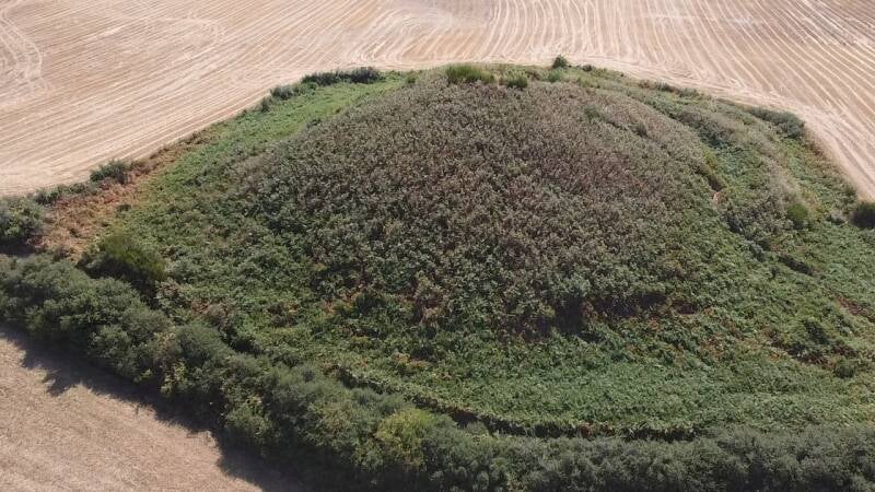 Le tumulus de Tumiac