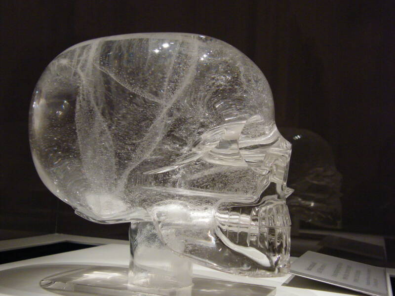 Le crâne dit « de Londres »