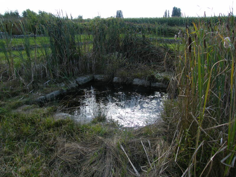 Le sanctuaire nord de Châteaubleau