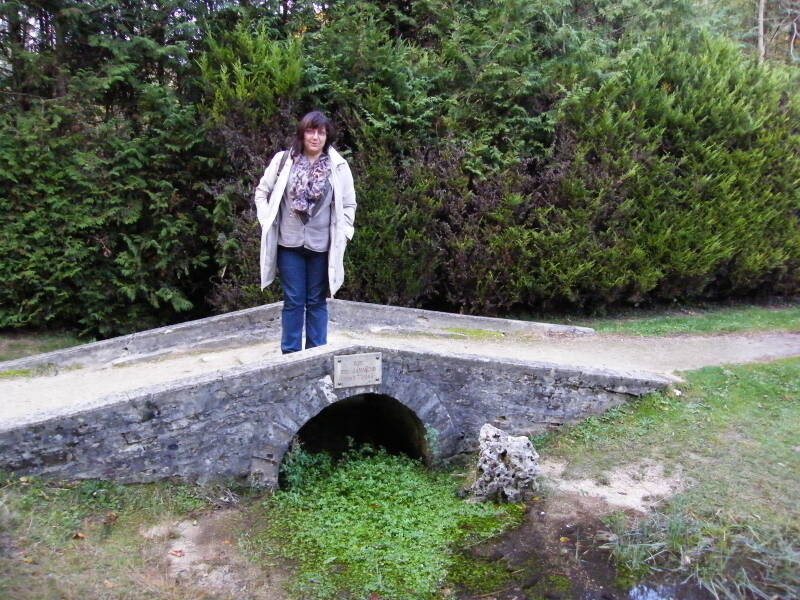Les sources de la Seine