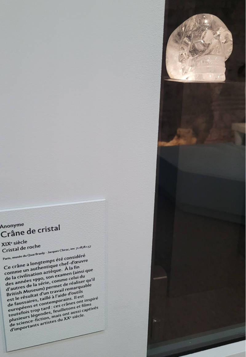 Le crâne dit « de Paris »