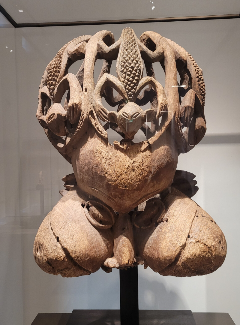 La toute nouvelle Galerie des Cinqs Continents