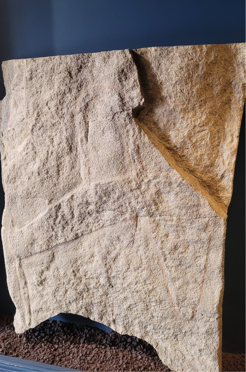 Les dalles gravées du musée de Carnac