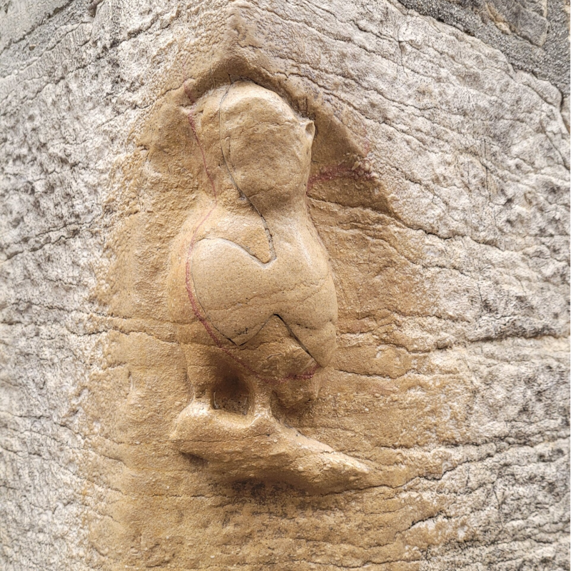 La chouette de Dijon