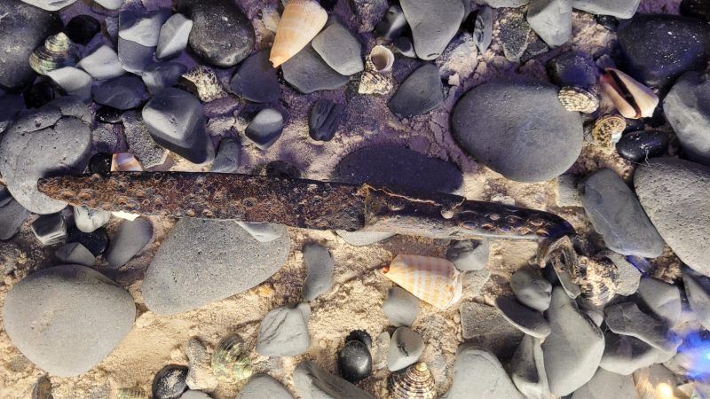 Cité Immersive Viking