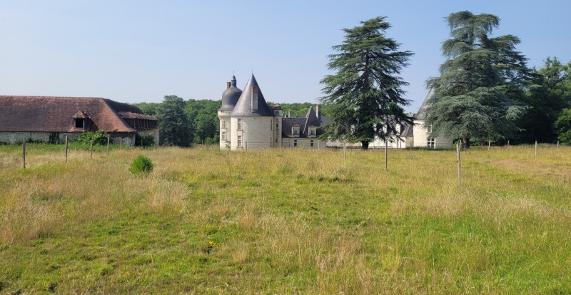 Le château du Gué-Péan
