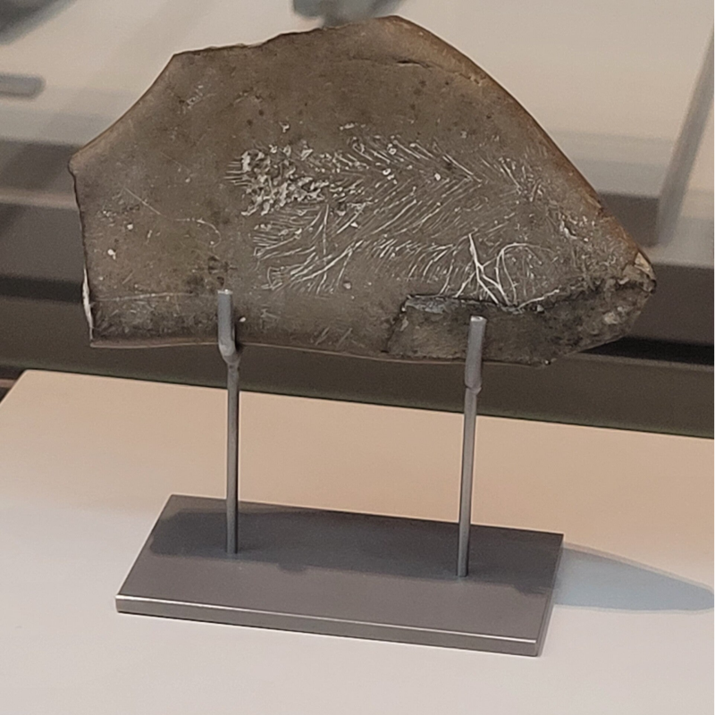 Préhistoire et protohistoire au musée archéologique du Mans