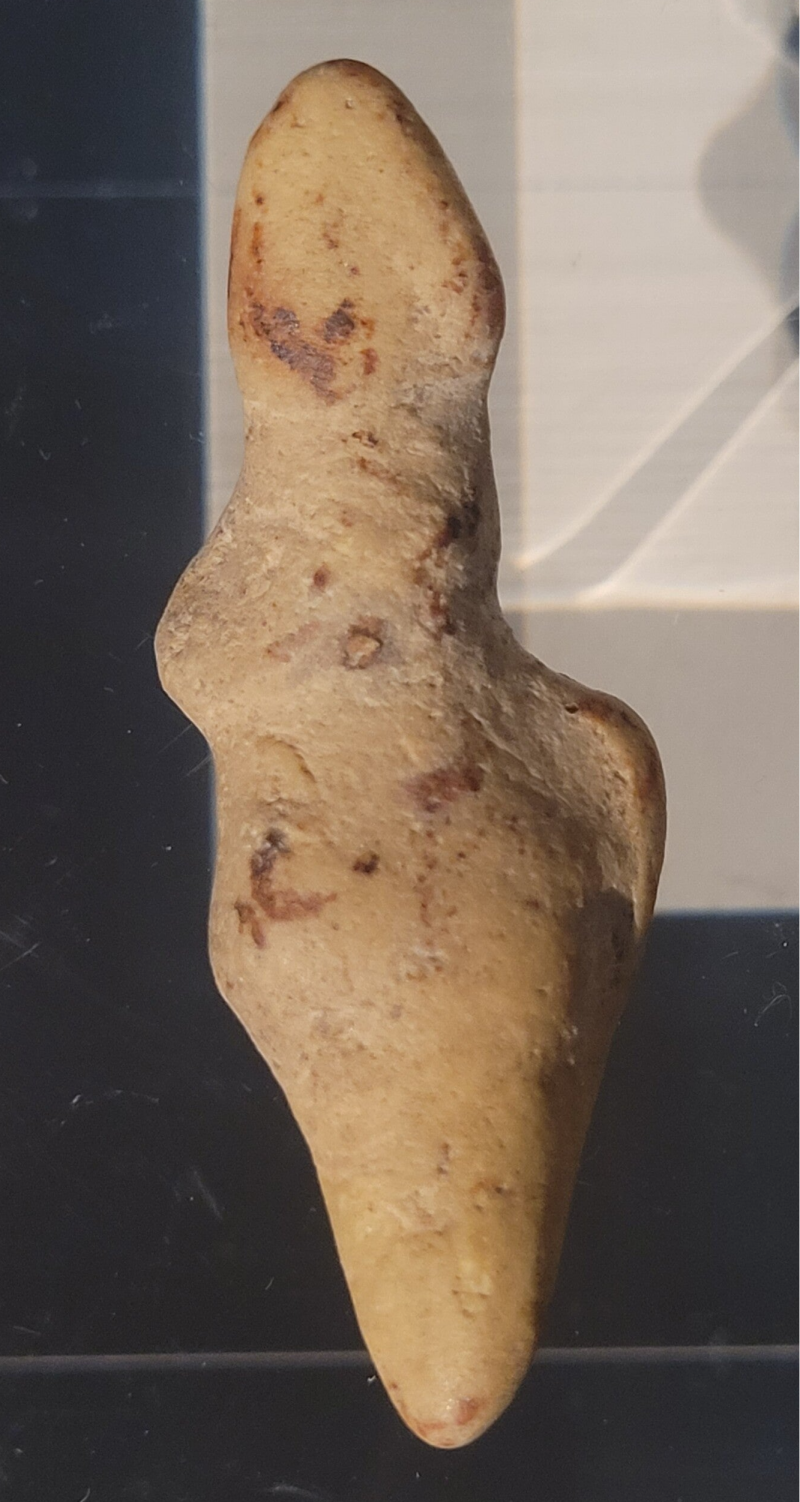 Le renouveau du musée de Sens