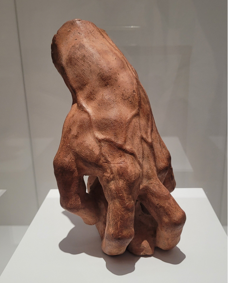 Michel-Ange Rodin - Corps vivants