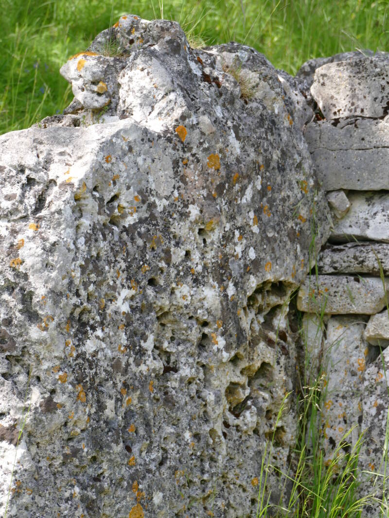 L'allée couverte du Bois-Couturier