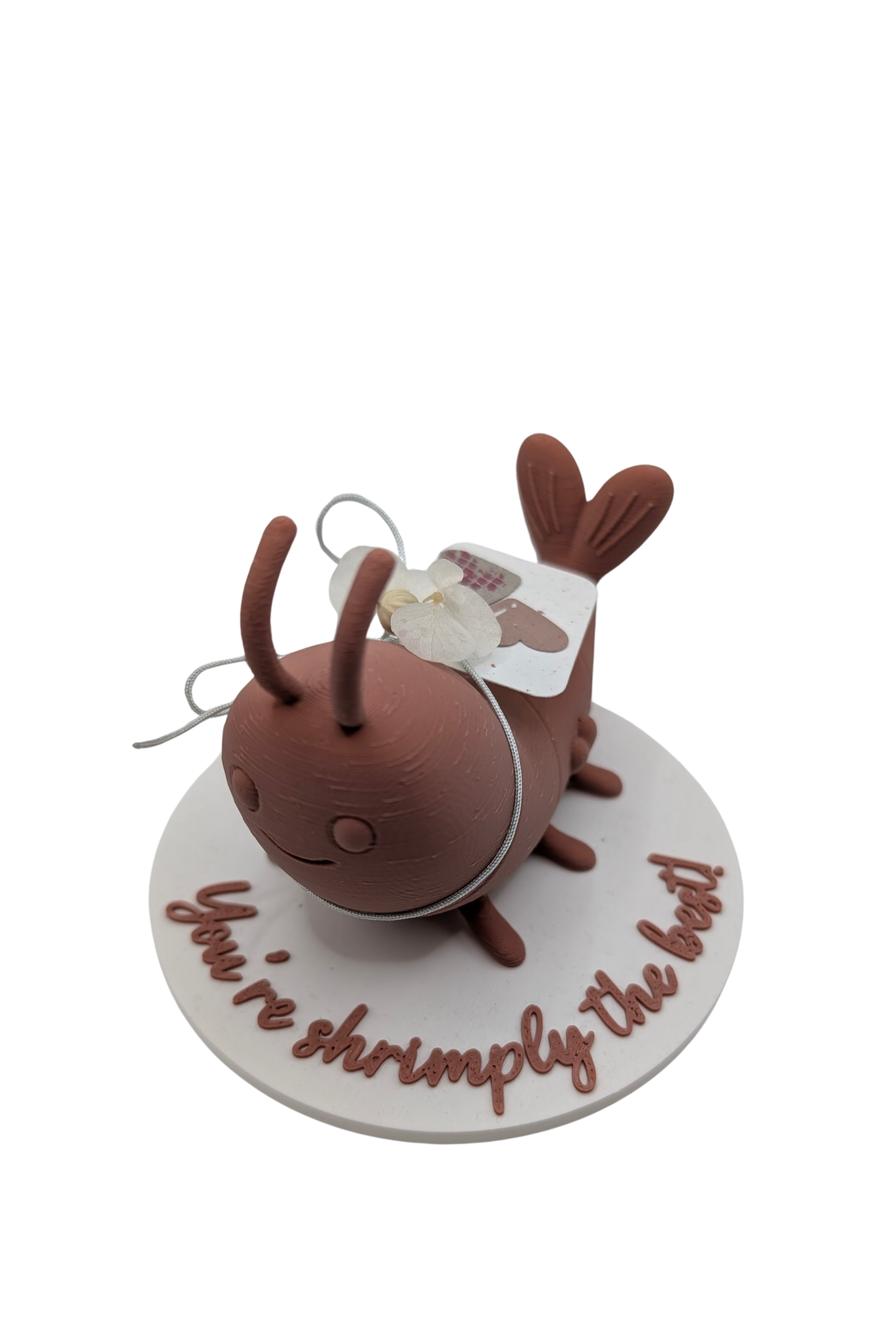 Shrimp - Shrimply The Best