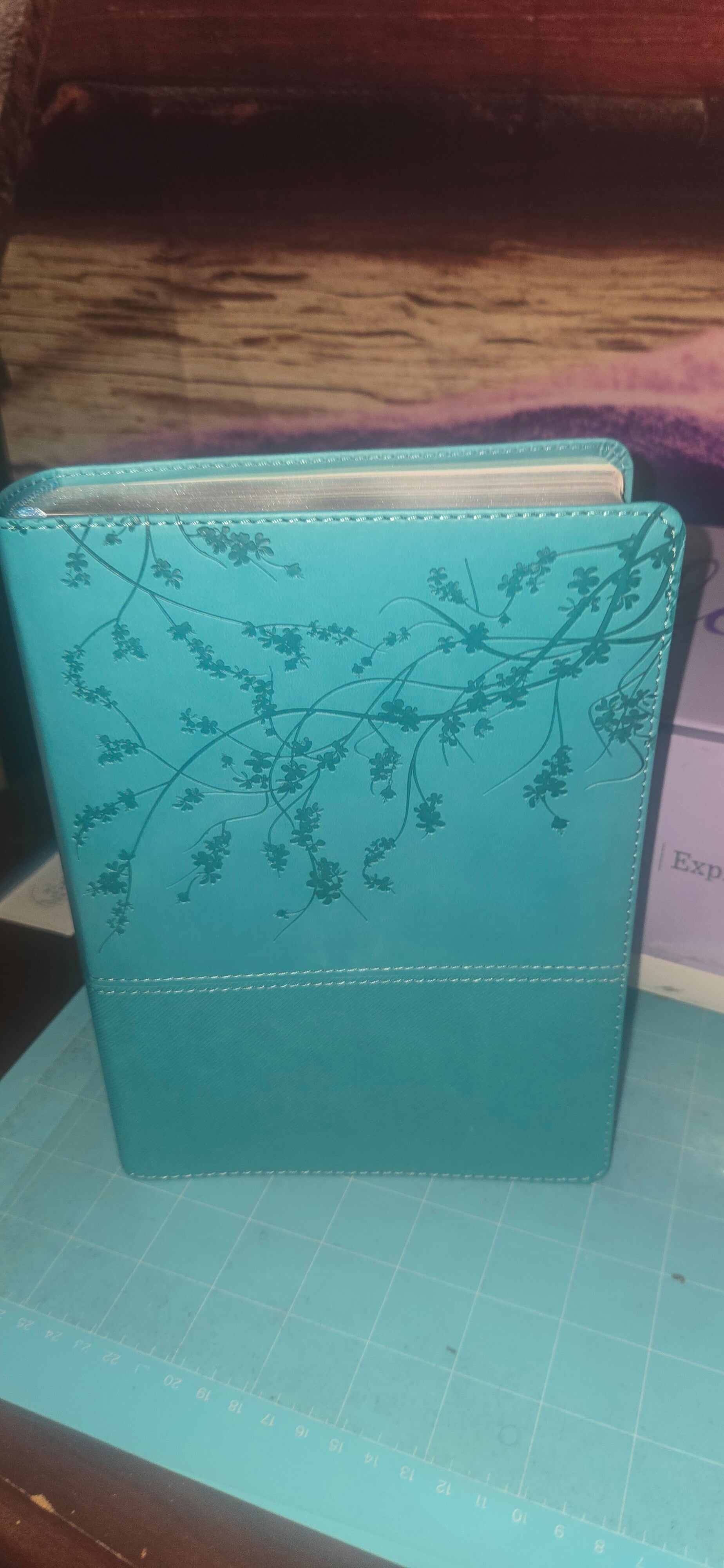 Biblias de apuntes y estudio