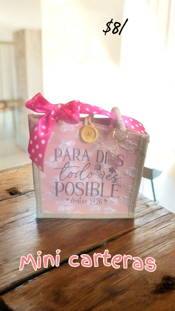 Carteras y mini Carteras