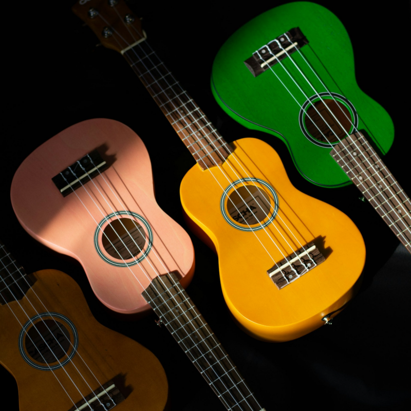 Ukulelenunterricht