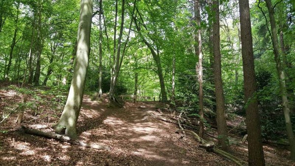 Wandel naar ontspanning!