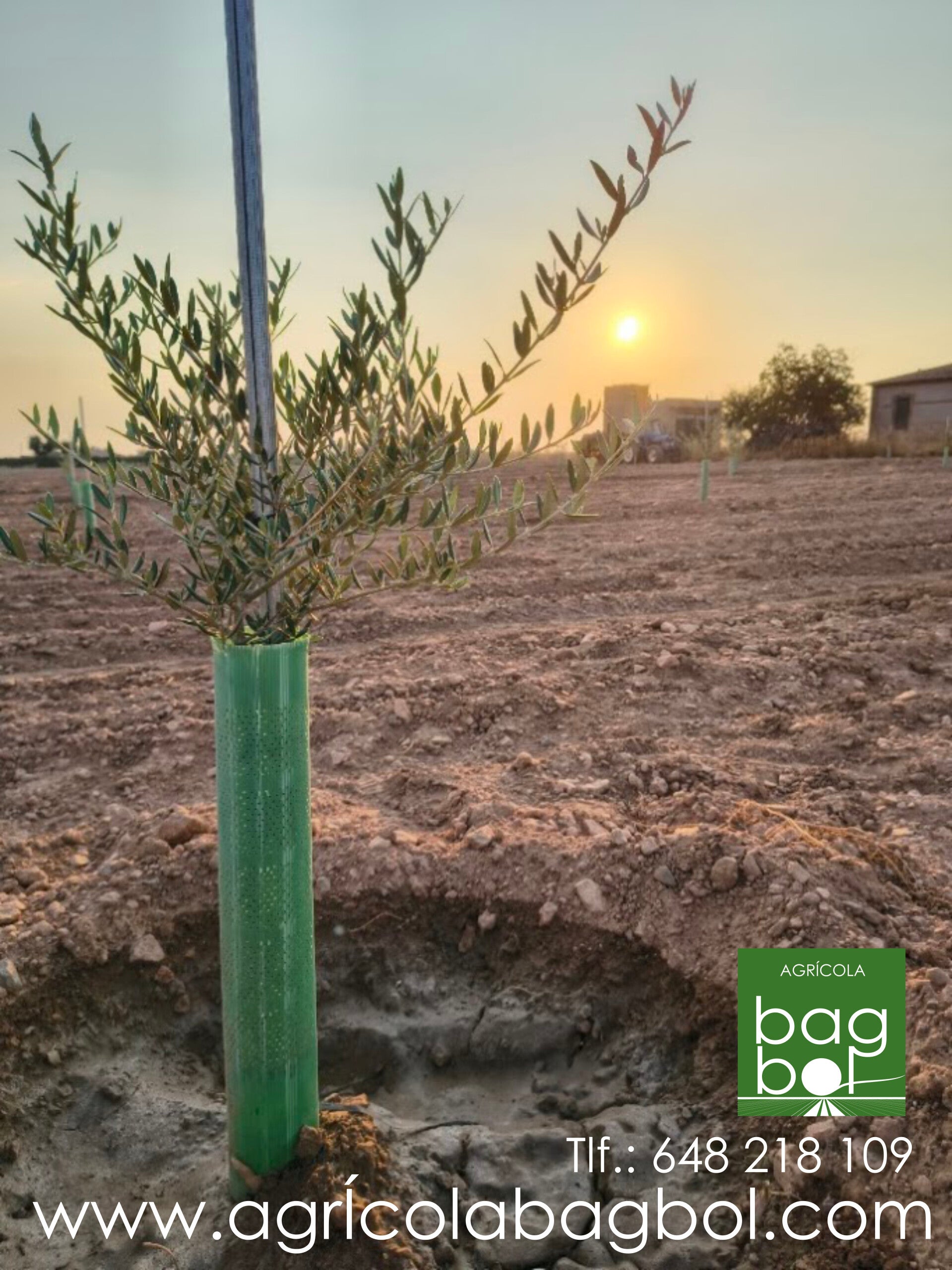 tutor metalico galvanizado agricola bagbol