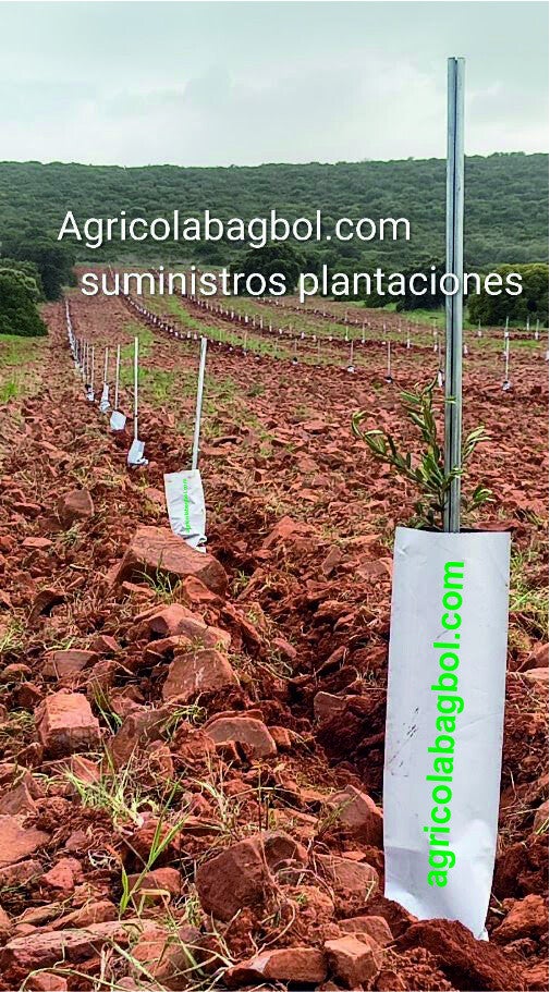 protector bicapa en agricola bagbol