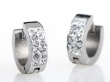 Edelstalen Oorbellen