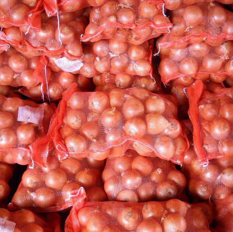 Emballage de carottes sur mesure - Green Security