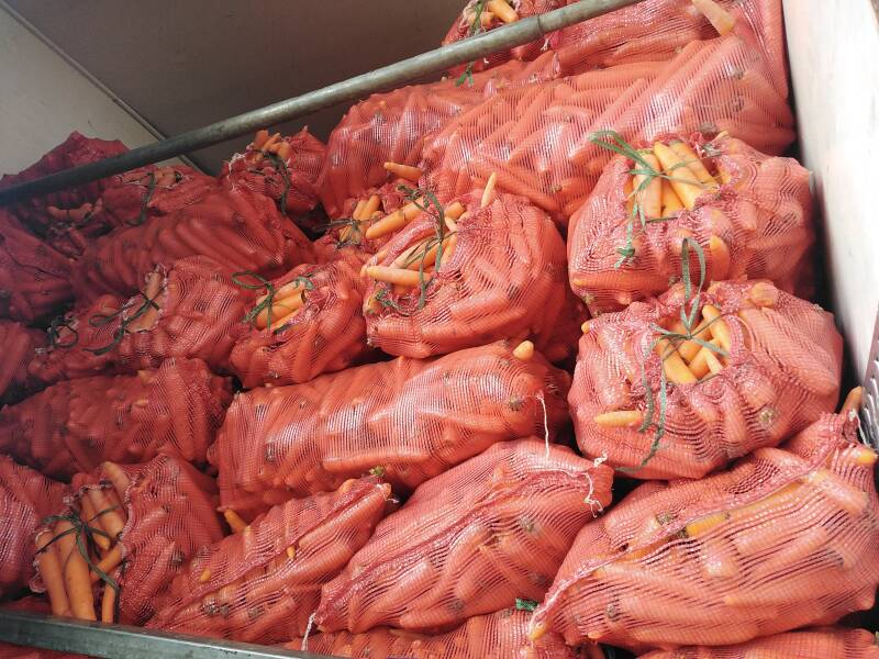 Emballage de carottes sur mesure - Green Security