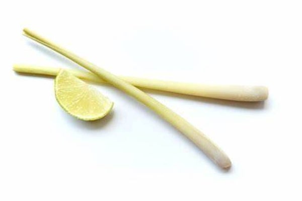 Huile essentielle - Citronnelle de Java BIO