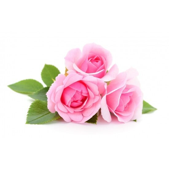 Hydrolat - Rose de Damas BIO 100 ml