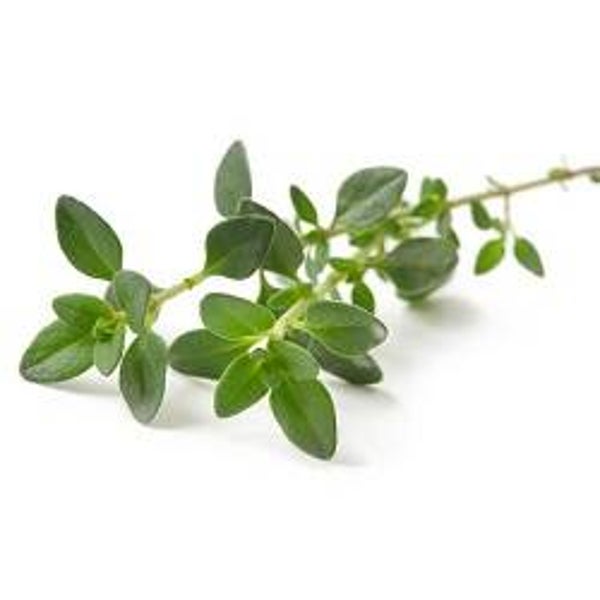 Huile essentielle - Thym vulgaire à linalol BIO