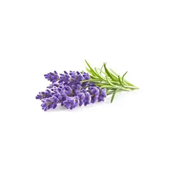 Huile essentielle - Lavande aspic BIO