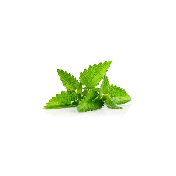 Huile essentielle - Menthe poivrée BIO