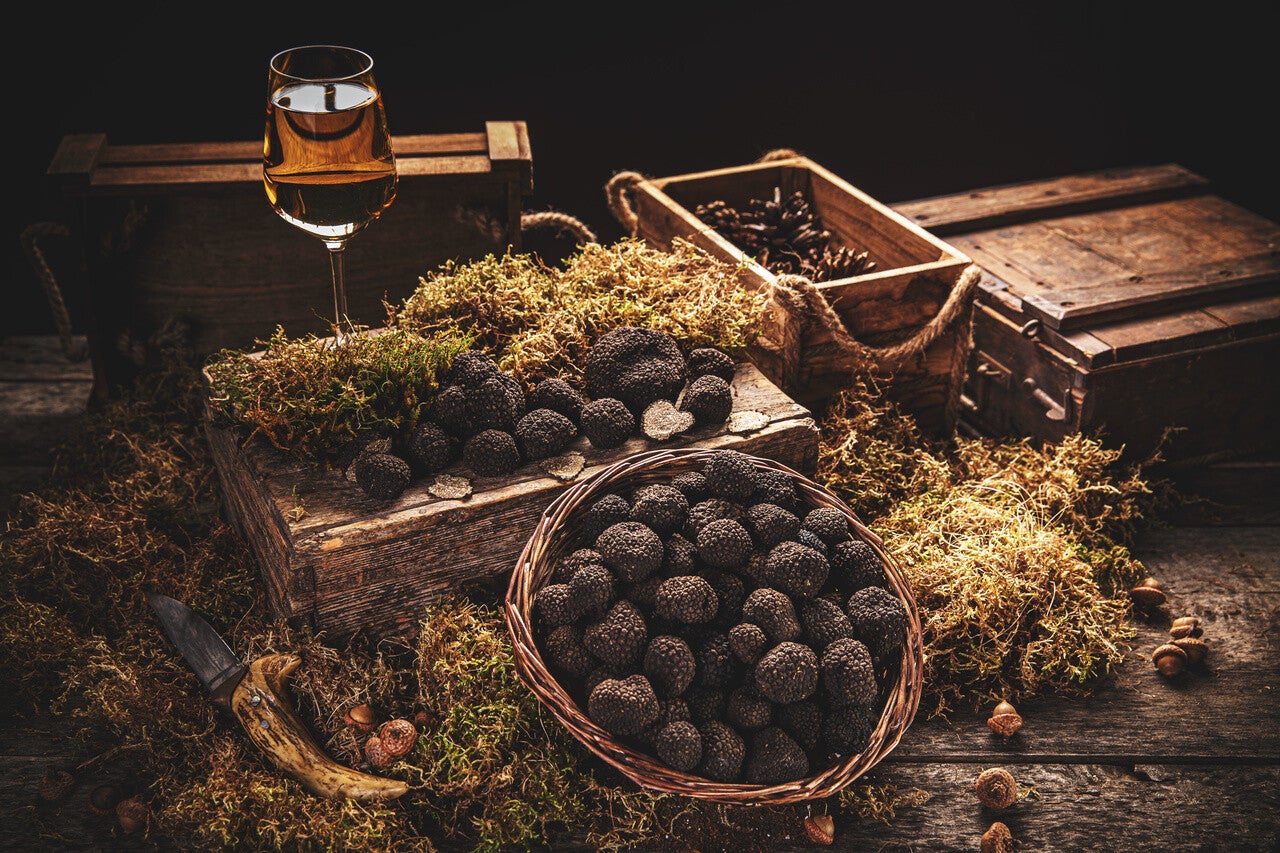 "Tartufo Fresco Italiano di alta qualità | Fresh Italian Truffle | Antica Tartuferia"
