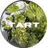 Tart Florals