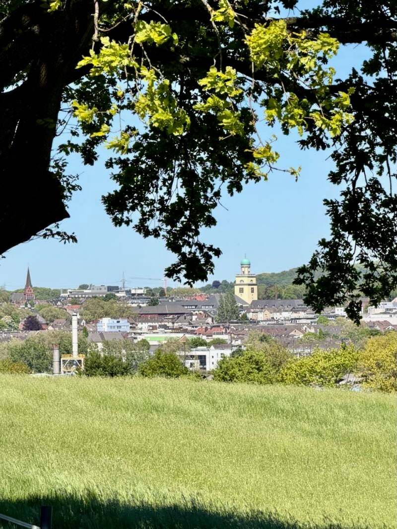 blick-aufs-rathaus-standard.jpg