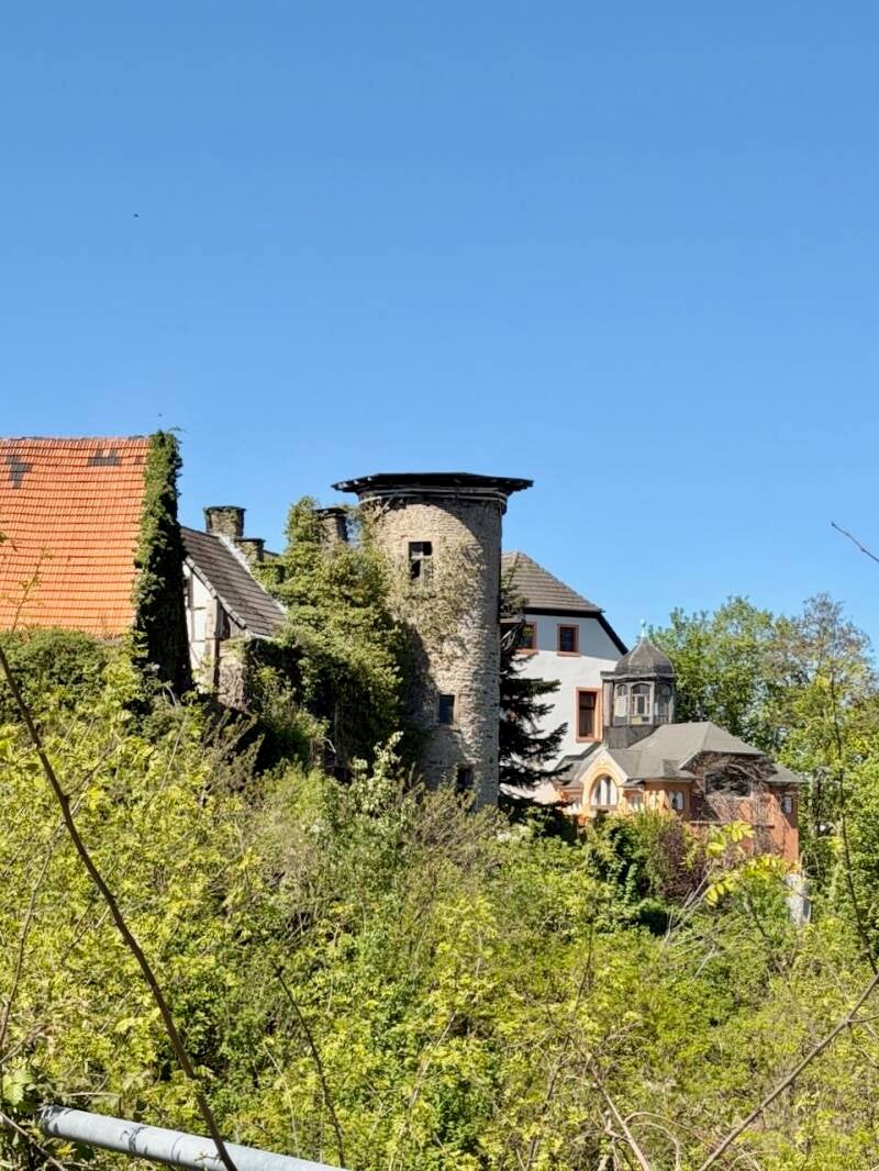 burg-1-standard.jpg