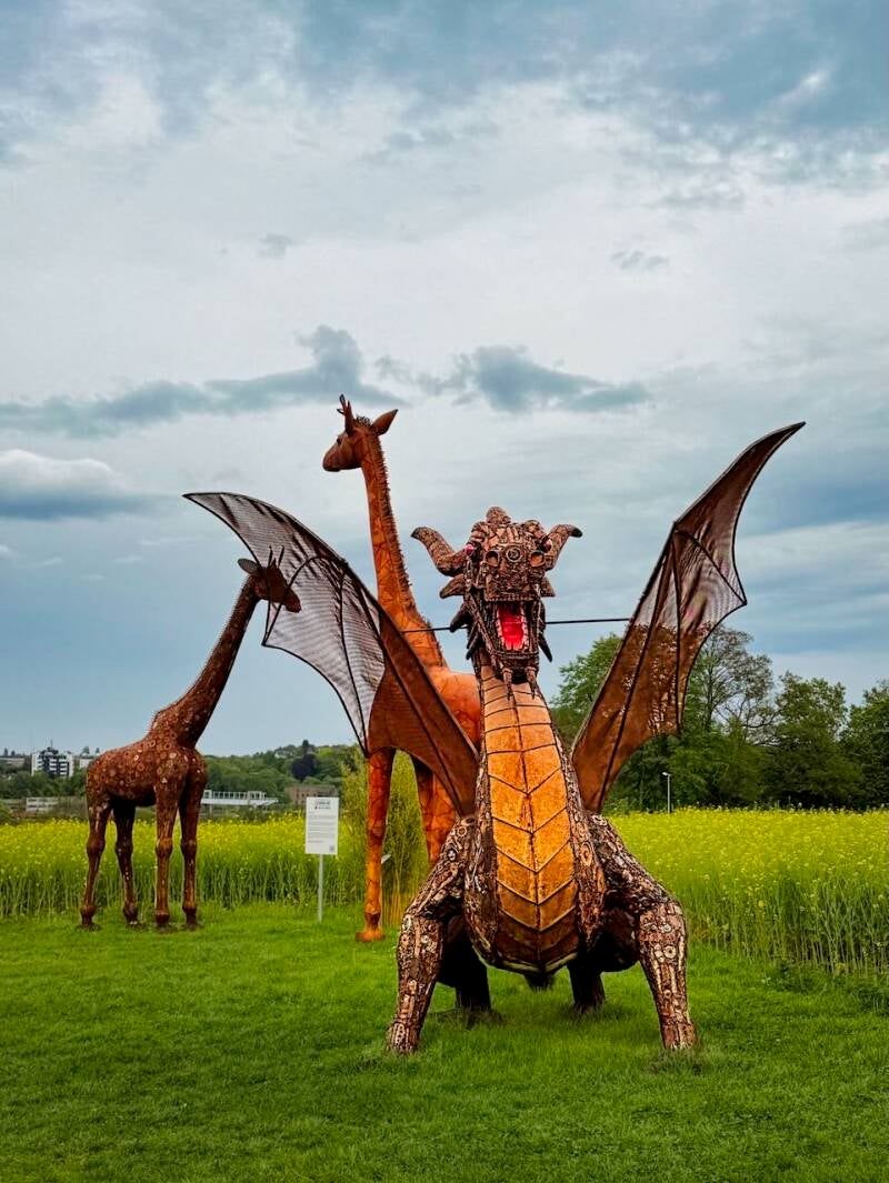 drache-standard.jpg
