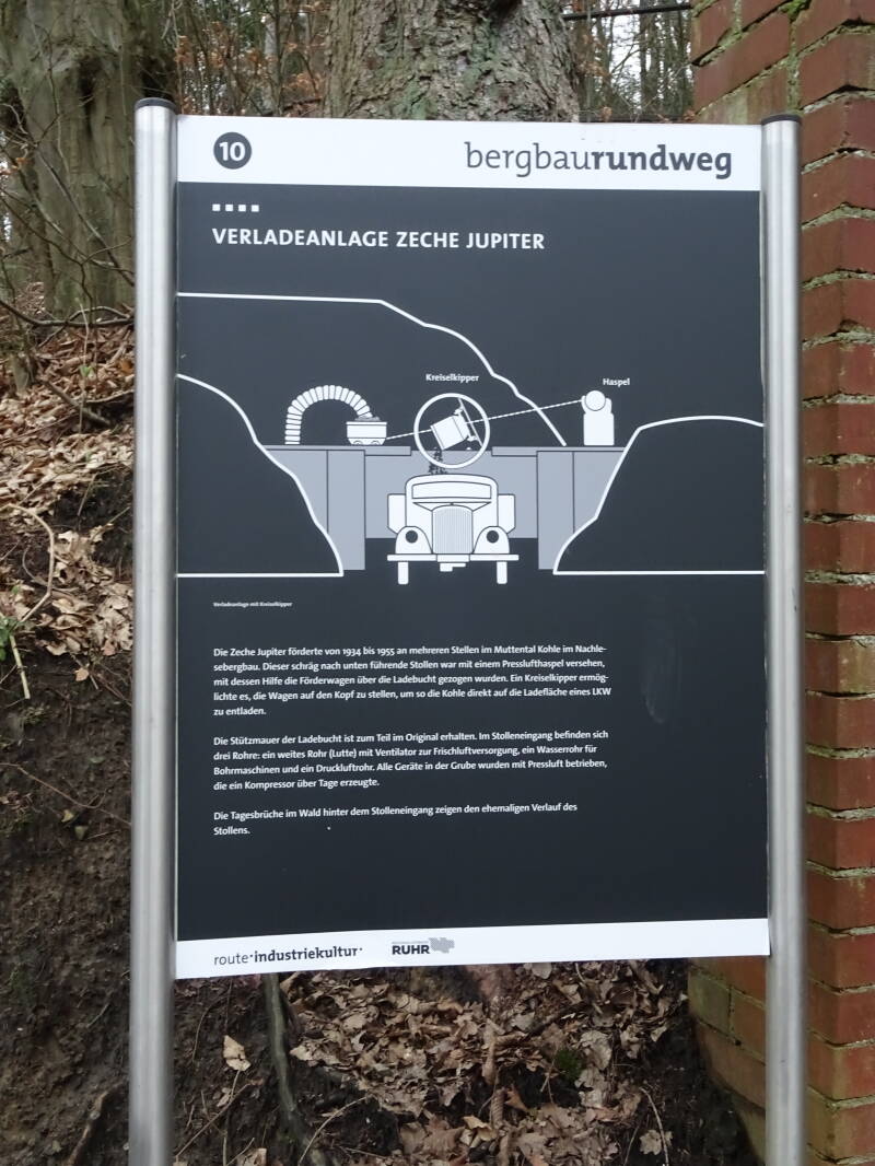 dsc00025-standard.jpg
