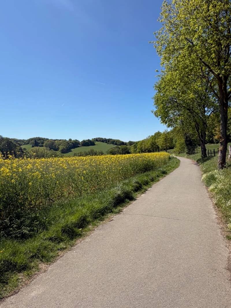 landschaft-weg-standard.jpg
