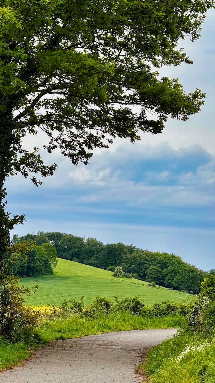landschaft-weg2-standard.jpg