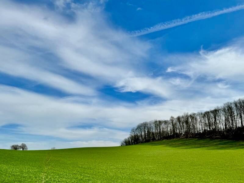 landschaft2-standard.jpg