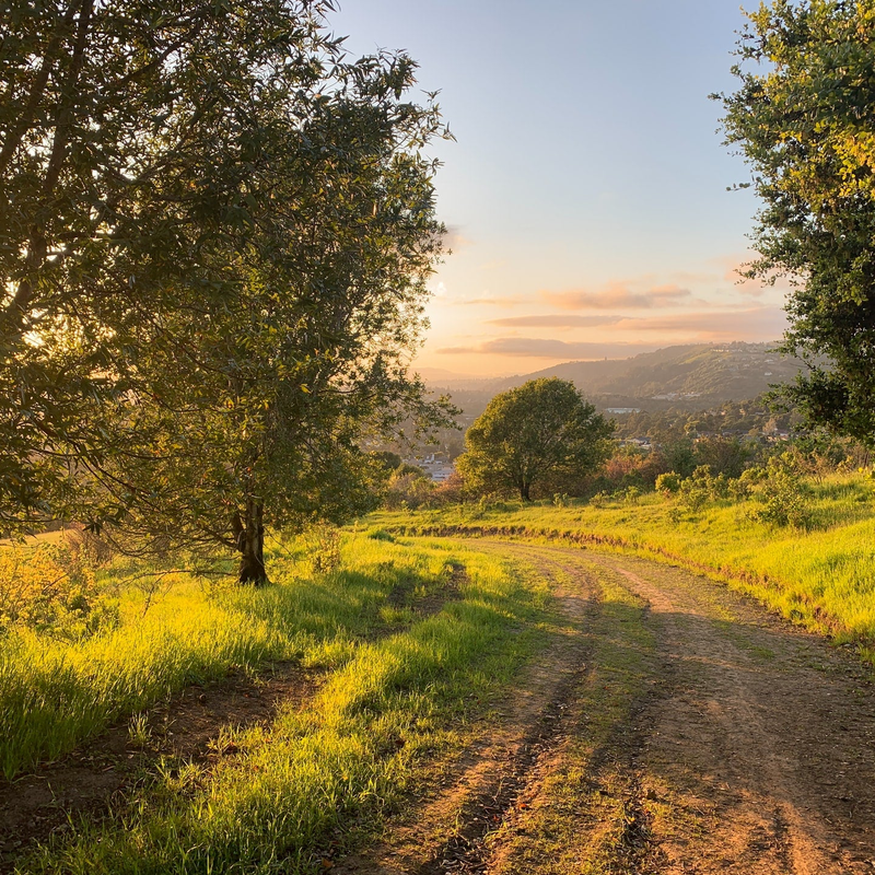 Leistungen: Vorsorge / Nachsorge