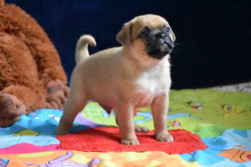 Pietje Be My Side gereserveerd!