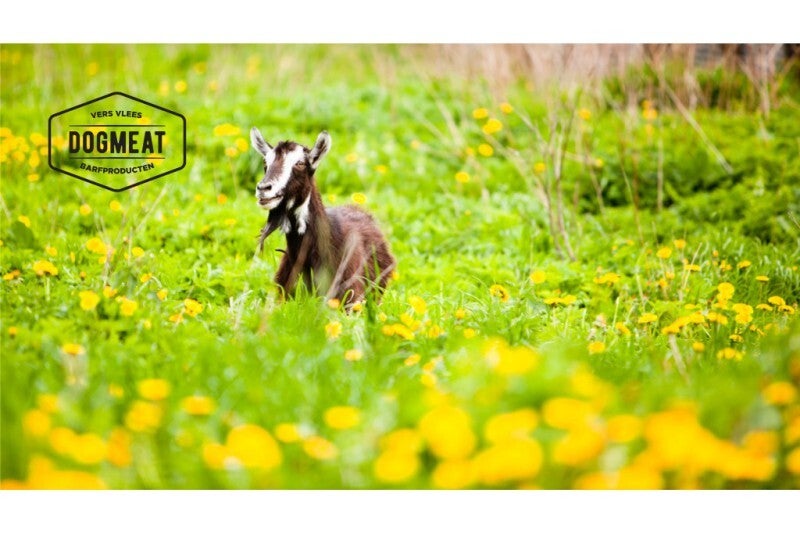 Dogmeat Kilo gemalen Geit Enkelvoudig