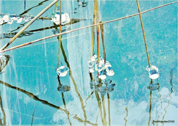 Eisblumen 3
