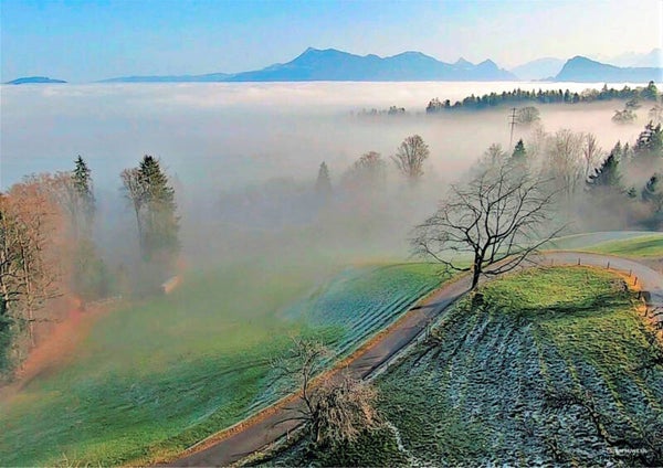Nebelgrenze