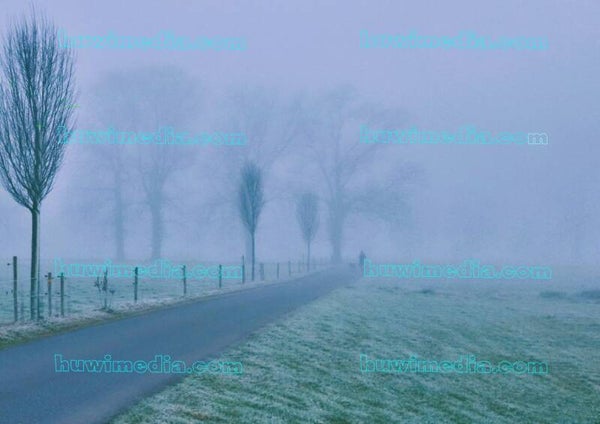 Nebel