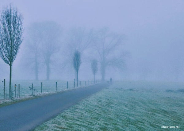 Nebellandschaft