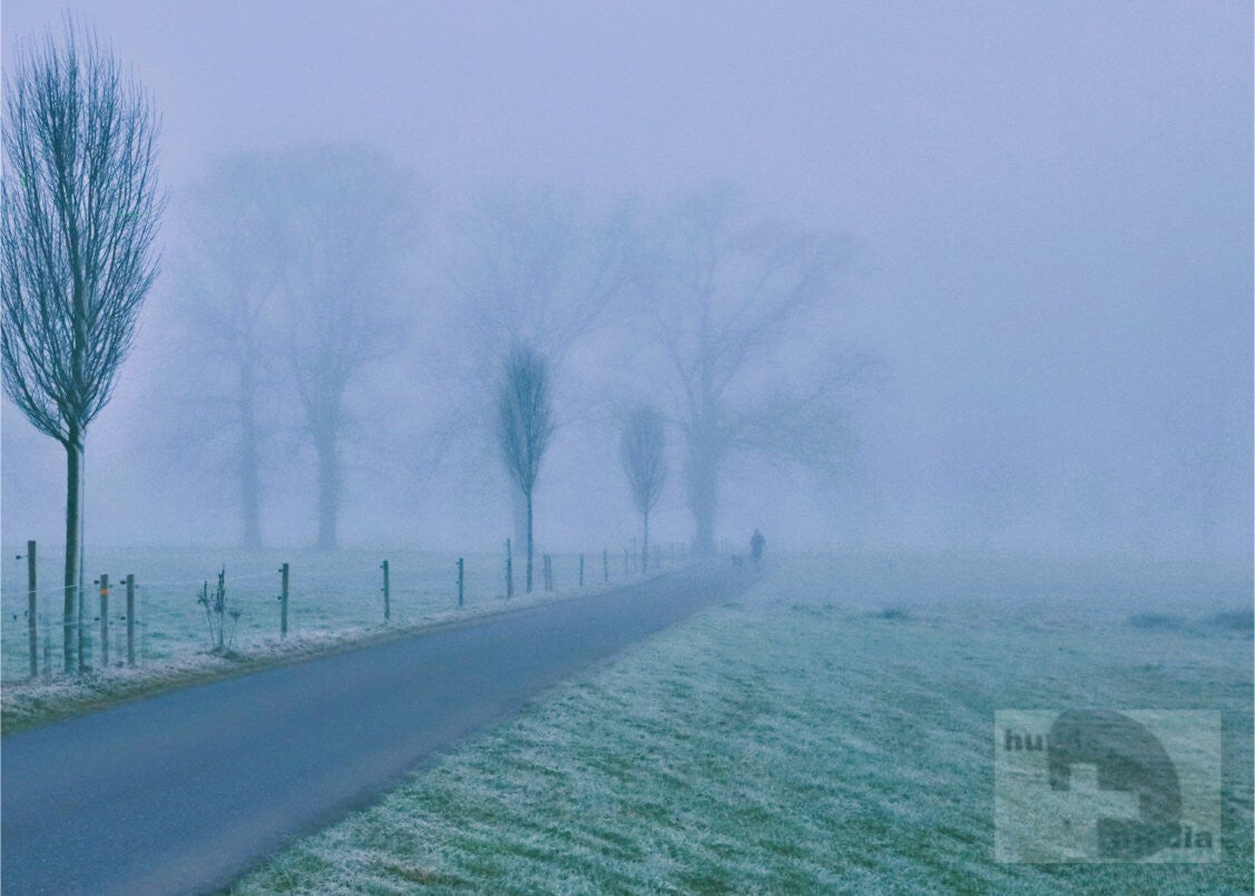 Nebel Poster A4